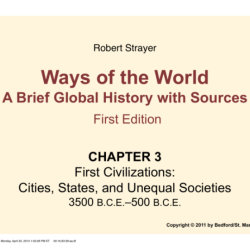 Robert strayer ways of the world