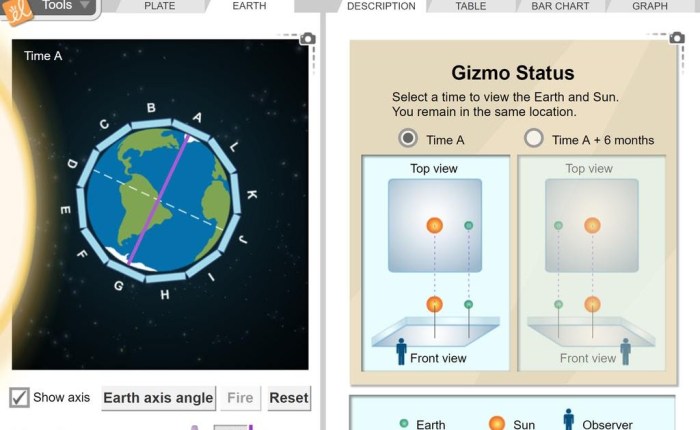 Gizmo answer key seasons 3d