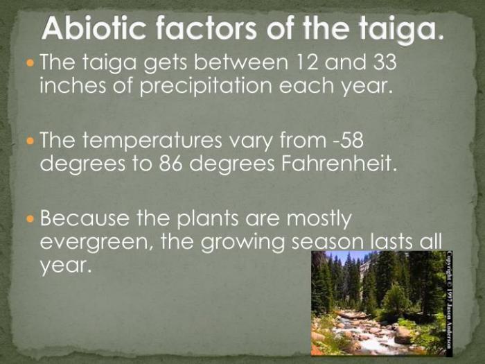 Abiotic factors in the taiga biome