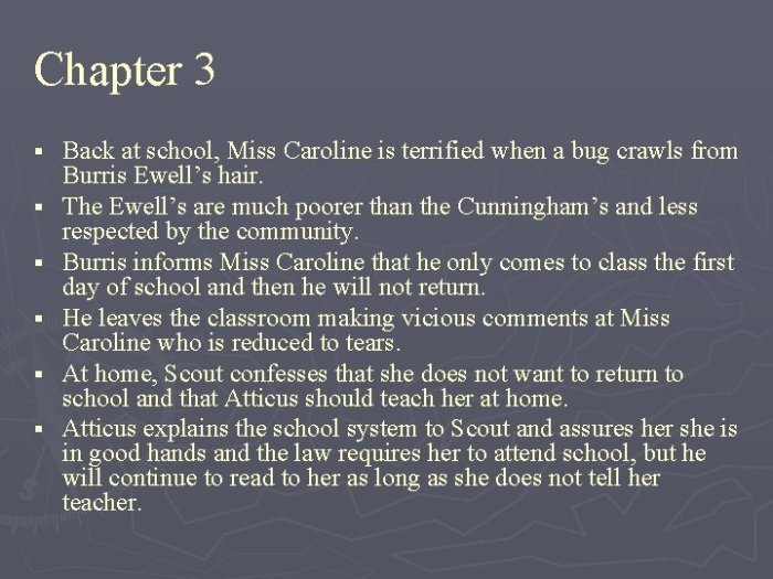 To kill a mockingbird chapter 1 quiz