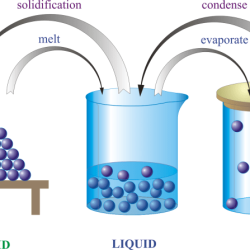 Chemistry: matter and change book answer key