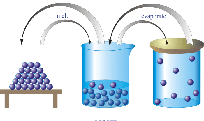 Chemistry: matter and change book answer key