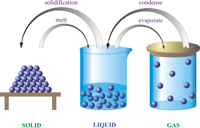 Chemistry: matter and change book answer key