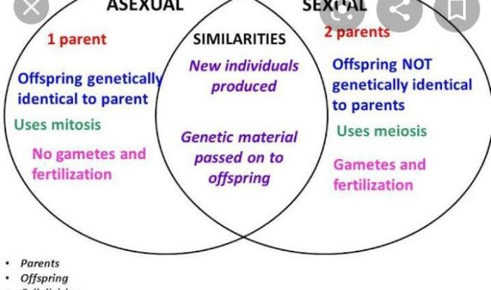 Venn asexual sexual reproduction diagram vs development growth comparison quiz tuesday june