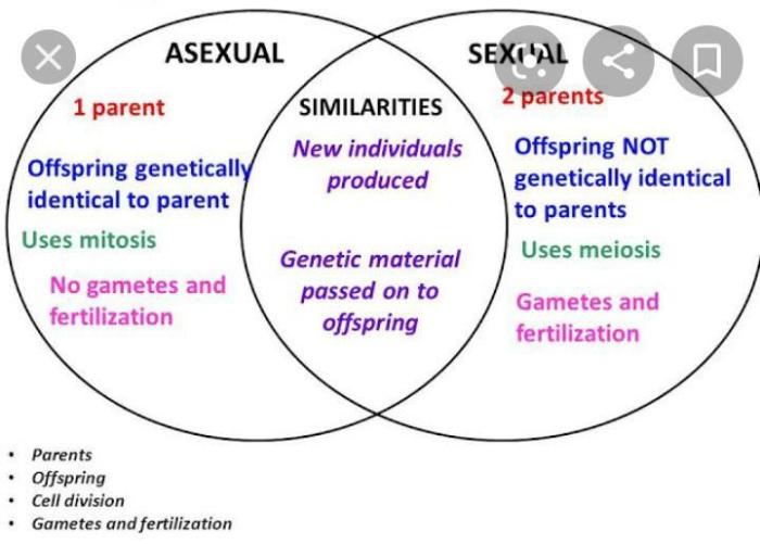 Venn asexual sexual reproduction diagram vs development growth comparison quiz tuesday june