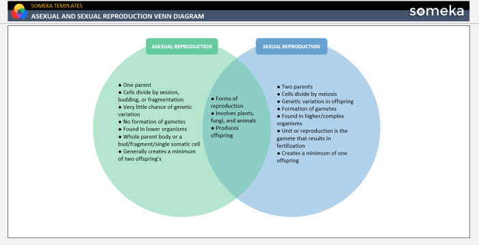 Venn diagram of asexual and sexual reproduction