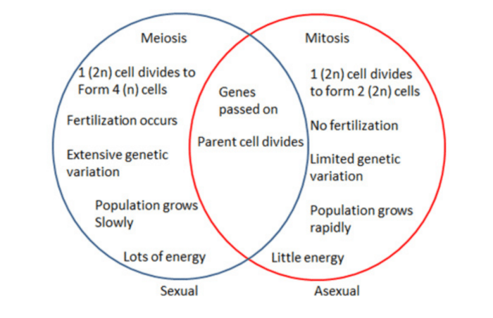 Venn diagram of asexual and sexual reproduction