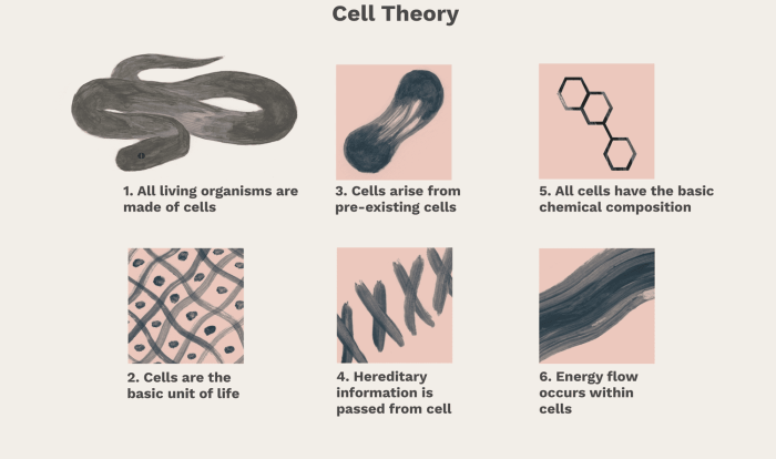 The cell theory states all of the following except