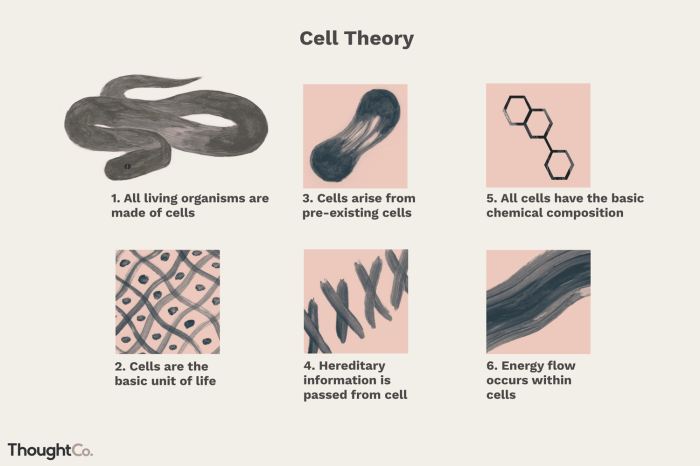 The cell theory states all of the following except