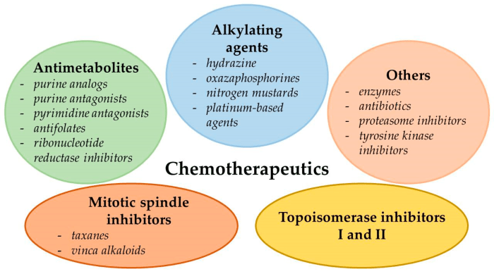 Match the chemotherapeutic drug to its class.