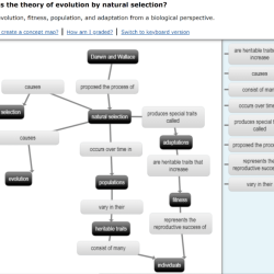 Chapter 15 the theory of evolution worksheet answer key