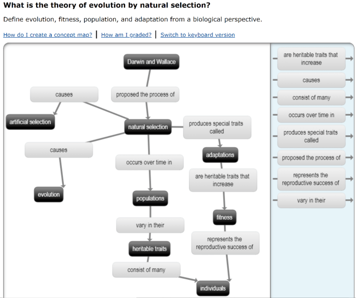 Chapter 15 the theory of evolution worksheet answer key