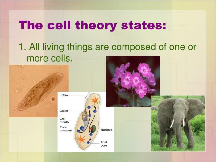 Cell theory states portion solved transcribed problem cells text been show has